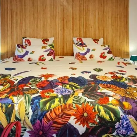 Villa Villino Ca' Bianca, Vicino Ad Alba, Tre Da Letto, Sollevatori Aerei, Intera Proprieta *