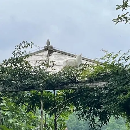 Villino Ca' Bianca, Vicino Ad Alba, Tre Da Letto, Sollevatori Aerei, Intera Proprieta Villa