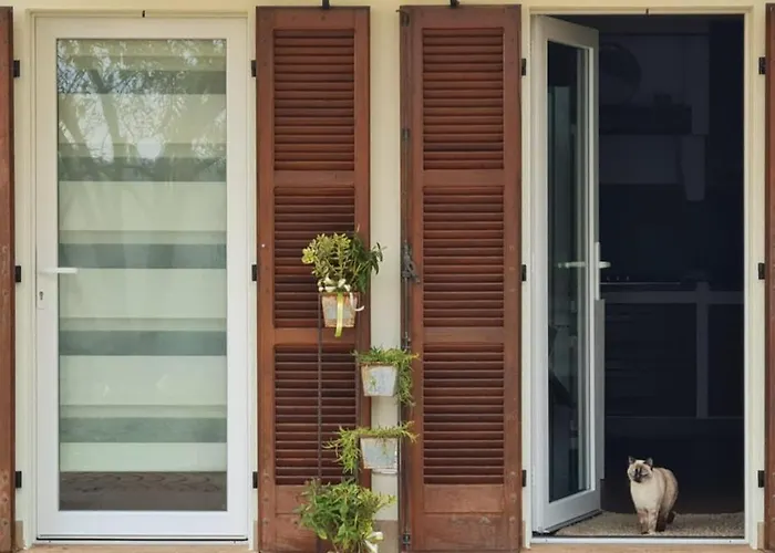 Villino Ca' Bianca, Vicino Ad Alba, No Zanzare, Accessibile E Con Sollevatori Aerei Vila Monteu Roero